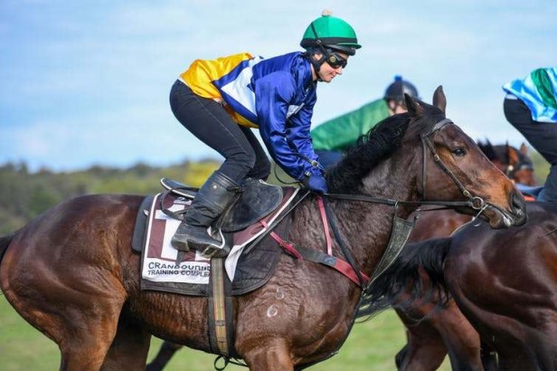 file-20190909-175686-1x9iu4z