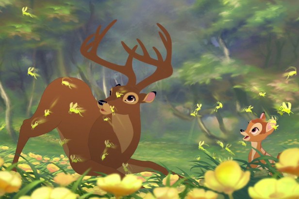 0a6c5dea444f5ec5f9e3bce04691ef4b